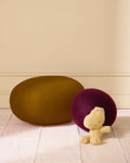 Sunny Ochre