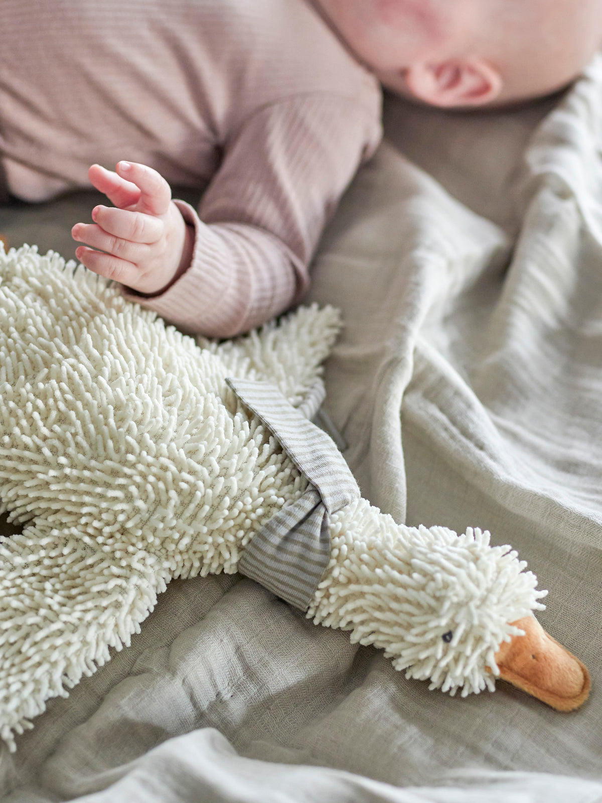 Gaspard Soft Toy