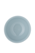 Celebrate Bowl, Blue
