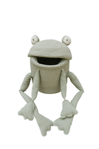 Basket Fred The Frog