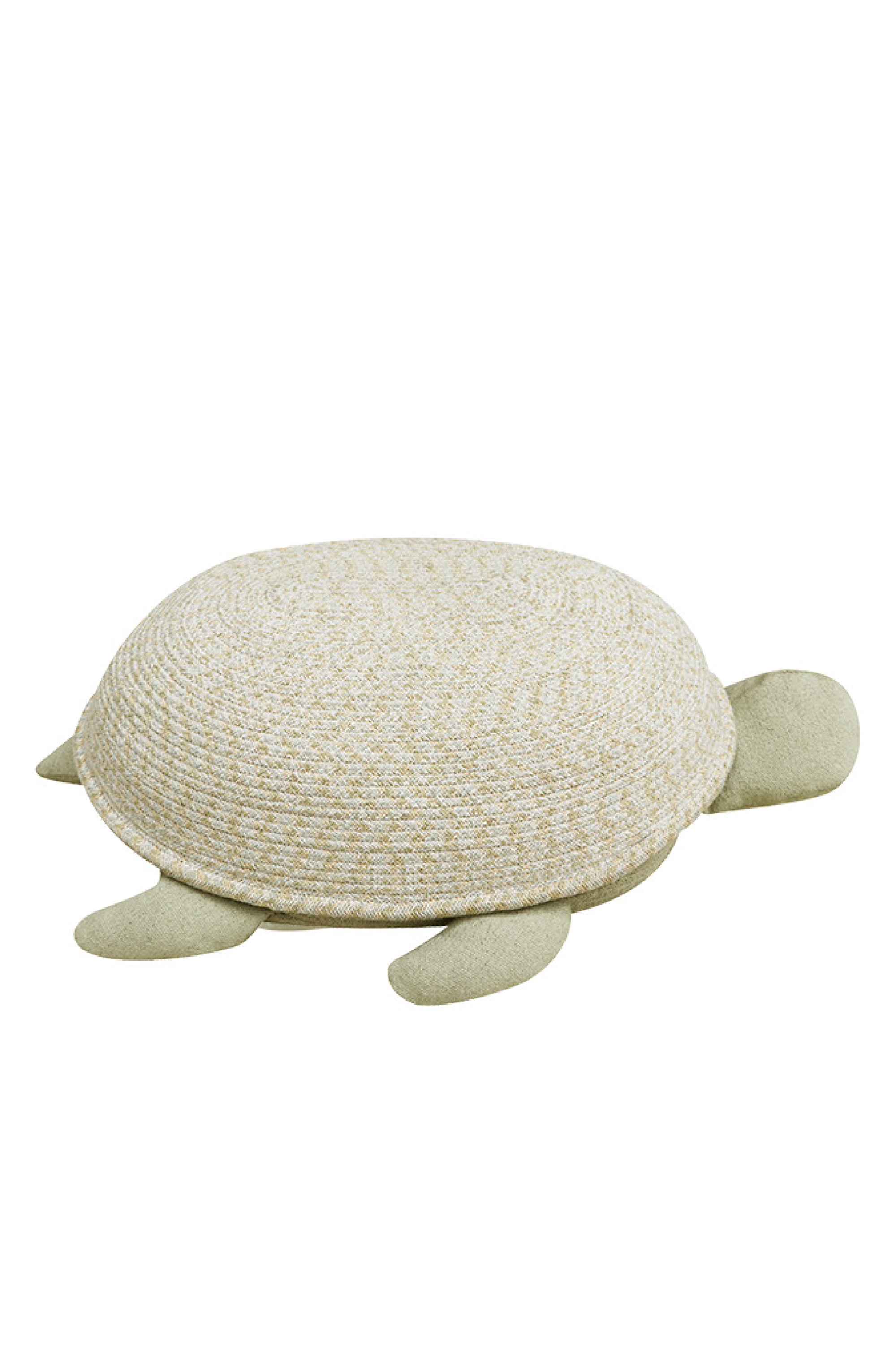 Basket Mama Turtle