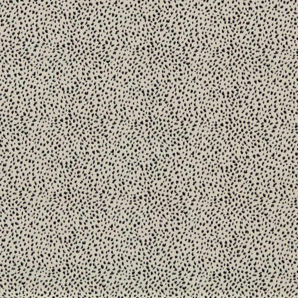 Dalmation