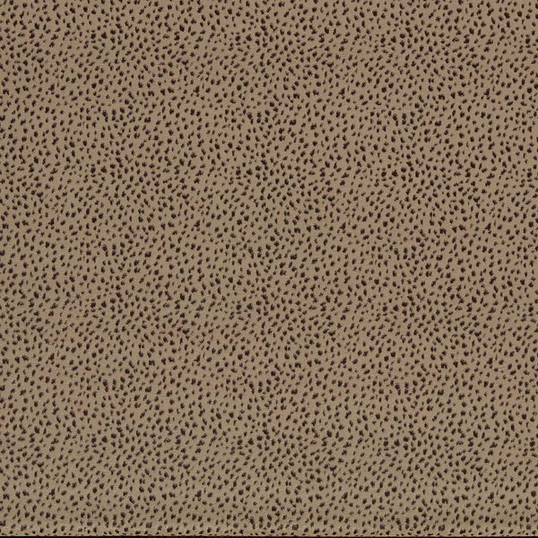 Fossil